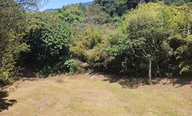 finca en venta en amagá vereda la delgadita. Cod V10793
