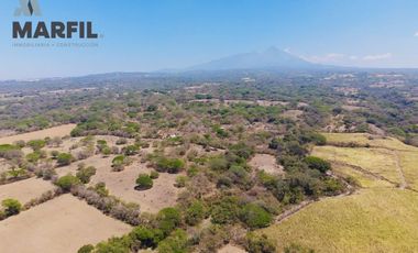8 Hectareas en Venta en Nogueras, Comala, Colima Planas Excelente Inversión