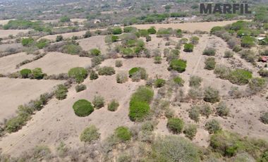 8 Hectareas en Venta en Nogueras, Comala, Colima Planas Excelente Inversión