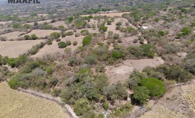 8 Hectareas en Venta en Nogueras, Comala, Colima Planas Excelente Inversión