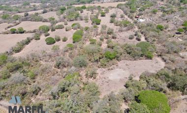 8 Hectareas en Venta en Nogueras, Comala, Colima Planas Excelente Inversión