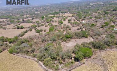 8 Hectareas en Venta en Nogueras, Comala, Colima Planas Excelente Inversión