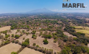 8 Hectareas en Venta en Nogueras, Comala, Colima Planas Excelente Inversión