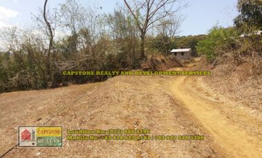 1.5 hec Titled Agricultural Lot in Santo Tomas, La Union