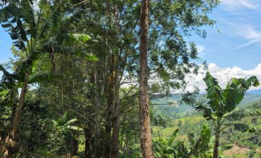 finca en venta en peralonso. Cod V20960