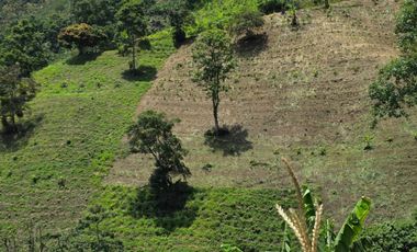 finca en venta en peralonso. Cod V20960