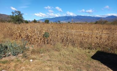 VENDO TERRENO 12,617 mts2 ROJAS DE CUAUHTEMOC OAXACA
