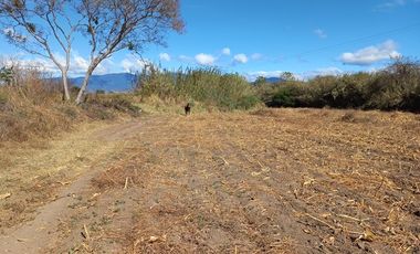 VENDO TERRENO 12,617 mts2 ROJAS DE CUAUHTEMOC OAXACA