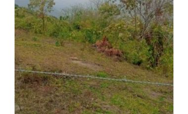 VENDO TERRENO EN LA CHORRERA CAPIRA LIDICE 4000MTS