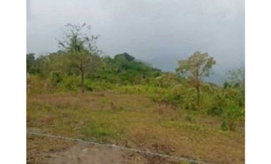 VENDO TERRENO EN LA CHORRERA CAPIRA LIDICE 4000MTS