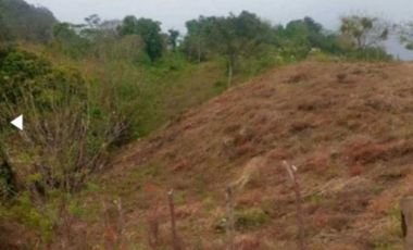 VENDO TERRENO EN LA CHORRERA CAPIRA LIDICE 4000MTS