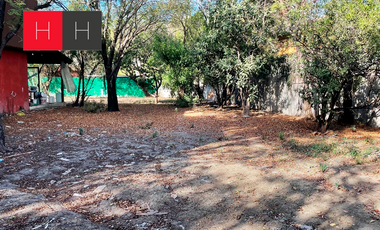 Terreno en renta Santa Engracia, San Pedro Garza García