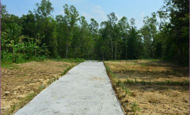 Kavling Perumahan Sedayu Indah, Bonus Jalan Pribadi 5m