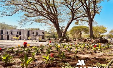 Terrenos en Venta en Residencial Pedregal Zona Norte de Colima