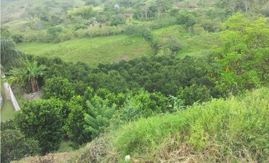 VENTA FINCA VALPARASO, SUROESTE ANTIOQUEÑO
