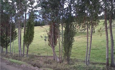 TERRENO VIA AL NEVADO CAYAMBE