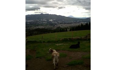 TERRENO VIA AL NEVADO CAYAMBE