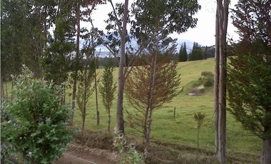 TERRENO VIA AL NEVADO CAYAMBE