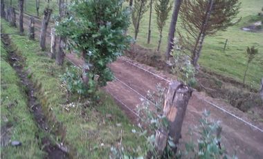 TERRENO VIA AL NEVADO CAYAMBE