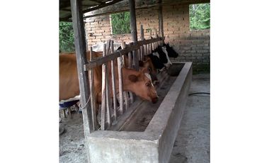 TERRENO VIA AL NEVADO CAYAMBE
