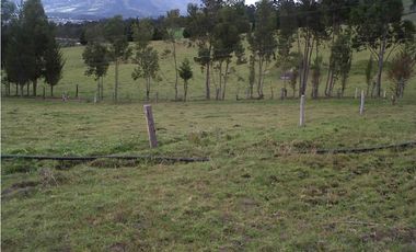 TERRENO VIA AL NEVADO CAYAMBE