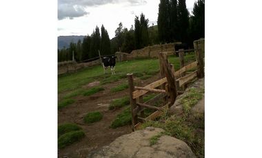 TERRENO VIA AL NEVADO CAYAMBE