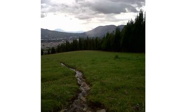 TERRENO VIA AL NEVADO CAYAMBE