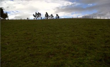 TERRENO VIA AL NEVADO CAYAMBE