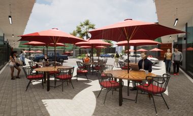 ¡EN RENTA! Nuevos locales amplios, en plaza comercial.