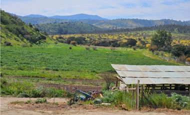 CASABLANCA / LAGUNILLAS / TERRENO 20.102 m2