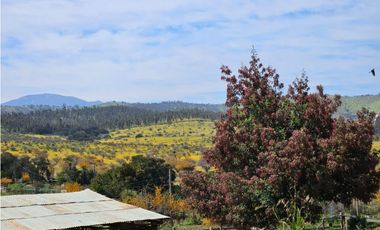 CASABLANCA / LAGUNILLAS / TERRENO 20.102 m2