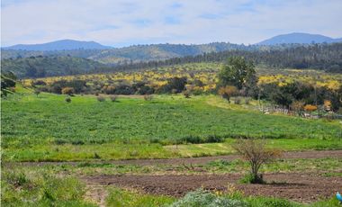 CASABLANCA / LAGUNILLAS / TERRENO 20.102 m2