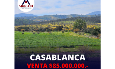 CASABLANCA / LAGUNILLAS / TERRENO 20.102 m2