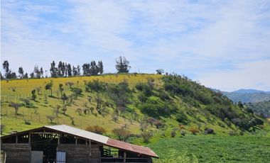 CASABLANCA / LAGUNILLAS / TERRENO 20.102 m2