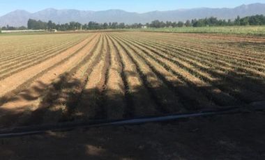 Parcela Agricola San Joaquin de Los Mayos