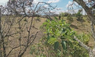 casa campestre en venta en rural. Cod V5899