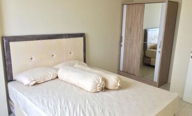 Disewakan Apartemen Silkwood Alam Sutera Tangerang Sebrang Univ Binus