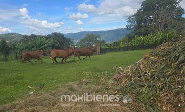 finca en arriendo en vereda el zarzal. Cod A65690