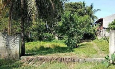 500sqm Lot for sale in Dumanlas Buhangin Davao City