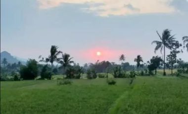 Dijual Villa+Sawah: 12.200 M2 di Sukabumi - Jawa Barat
