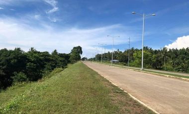 Titled Land for Sale along Airport Road Laguindingan Misamis Oriental