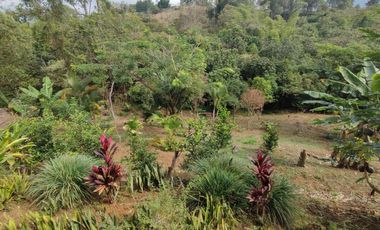 casa en venta en miravalle. Cod V14124