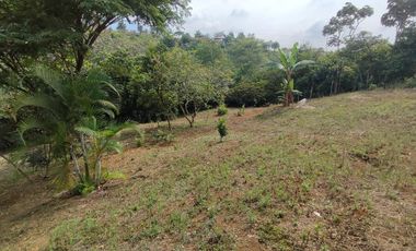 casa en venta en miravalle. Cod V14124