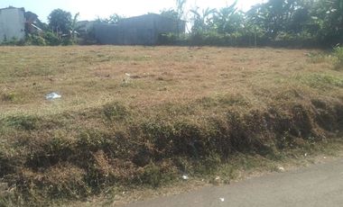 Tanah Bogor Terima SHM Pecah, Area Tanah Seral Kayu Manis