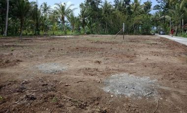 Tanah Cocok Bangun Kost Area Kawasan Industri Sentolo, Jogja
