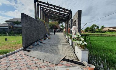 TERBATAS, TANAH KAVLING DI LOKASI TERBAIK CANGGU, VIEW SAWAH, DEKAT AREA BISNIS