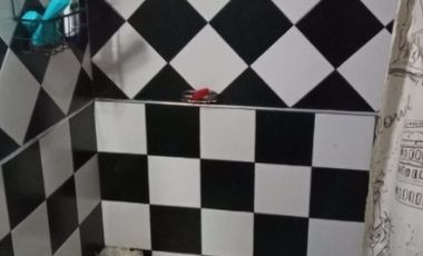 Casa en venta en Quilmes Oeste
