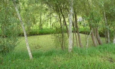 finca en venta en cundinamarca. Cod V8709945