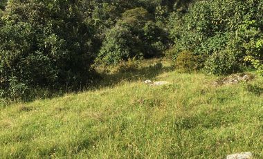 finca en venta en cundinamarca. Cod V8709945