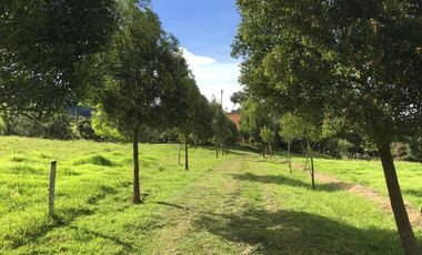 finca en venta en cundinamarca. Cod V8709945